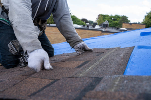 Best Local Roofing Companies  in Briarcliff, TX